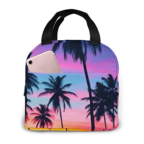 24 Most Wanted Reusable Insulated Lunch Bags