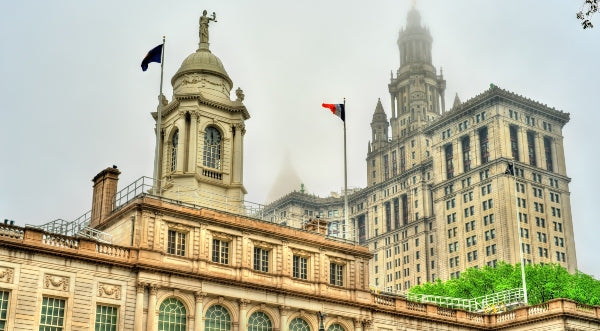 How the Left Is Hoping To Reshape the New York City Council