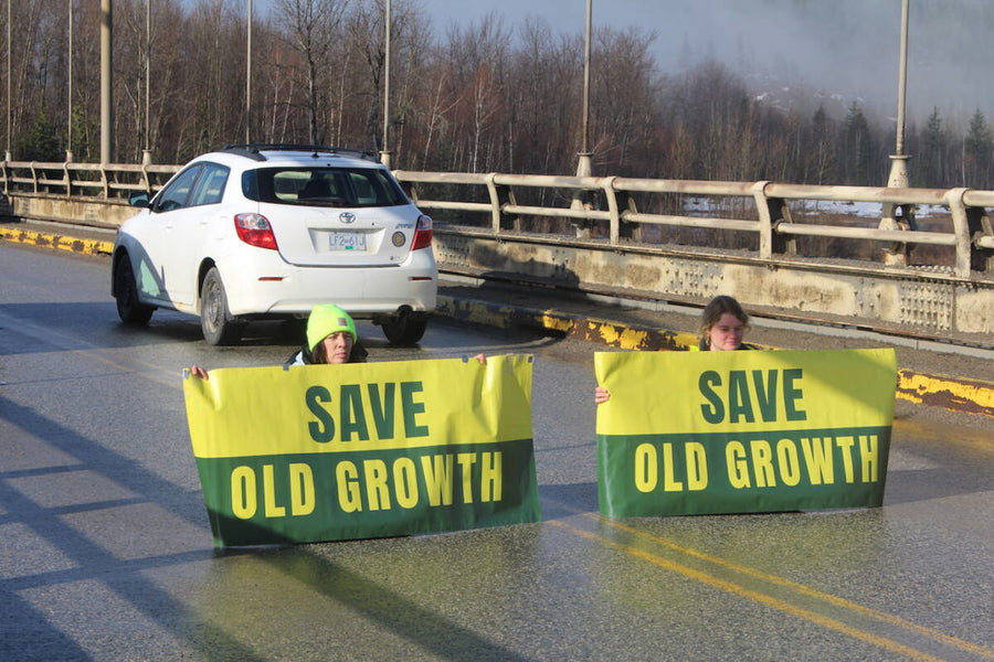 Save Old Growth organizer fears his climate activism has made him a target for deportation