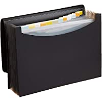Amazon Basics Expanding Organizer File Folder only $6.44